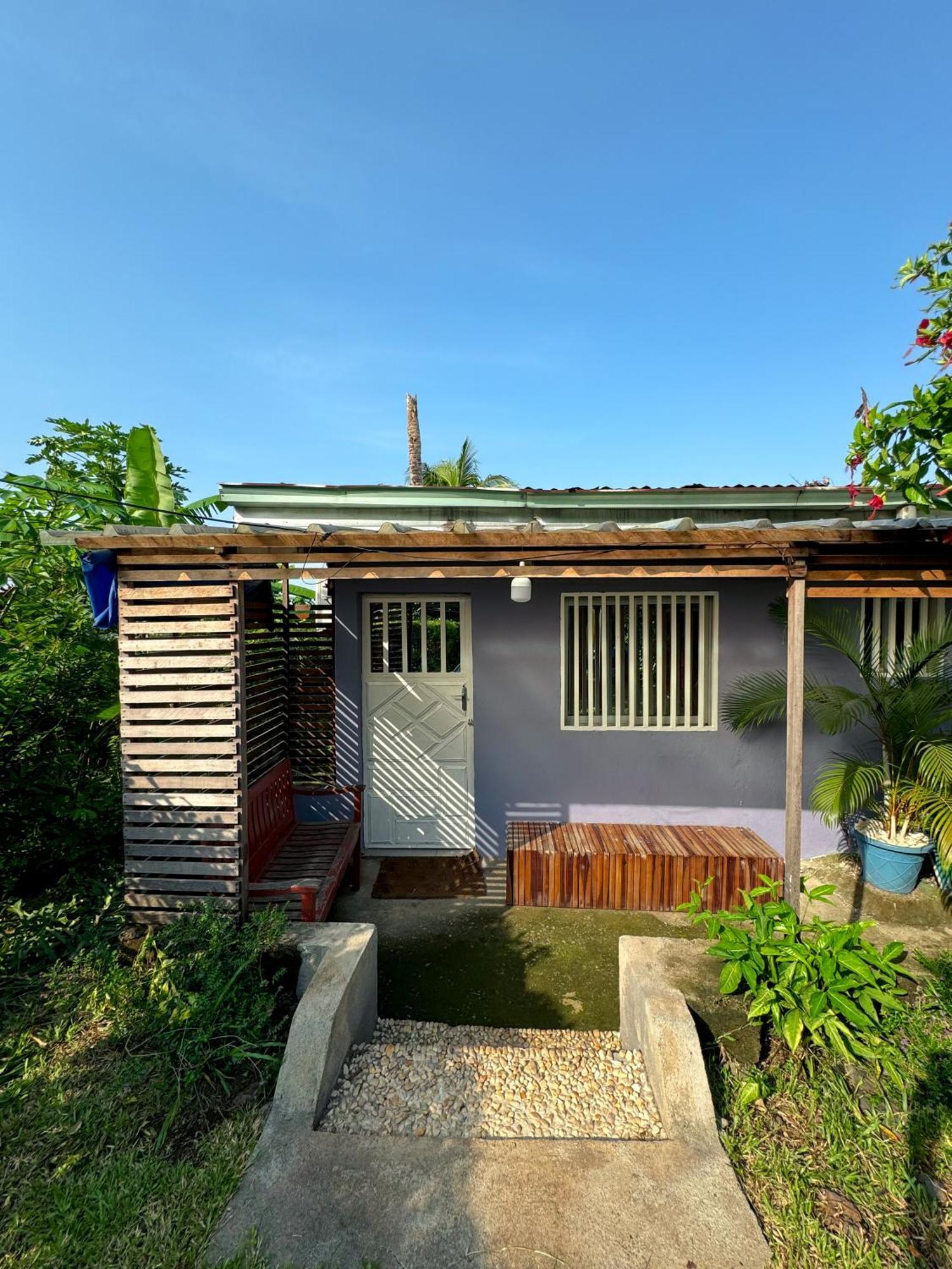 Palm Springs Bed & Breakfast Bed and Breakfast Limbe Εξωτερικό φωτογραφία